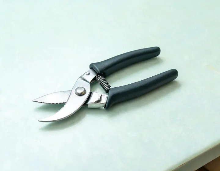 Unbranded pruning shears with blade and handle details